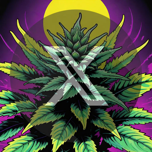 PREROLL- DIESEL GLUE