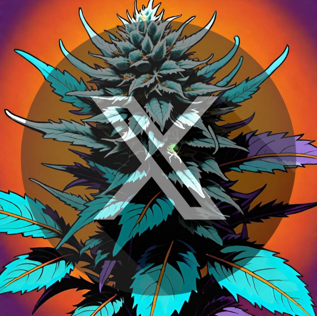 FLOWER-BLACK POWDERED