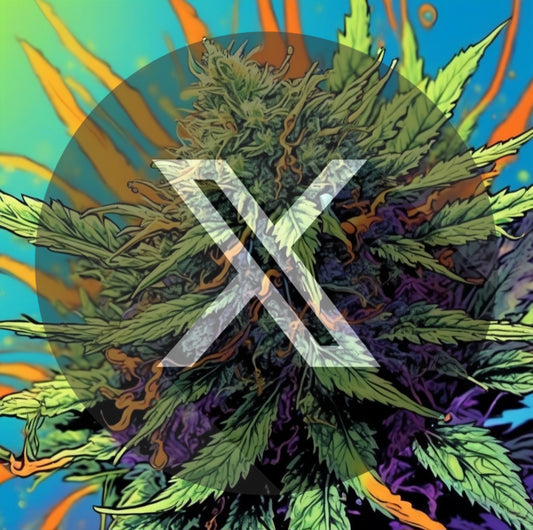 PREROLL- G.O.A.T. CHEESE