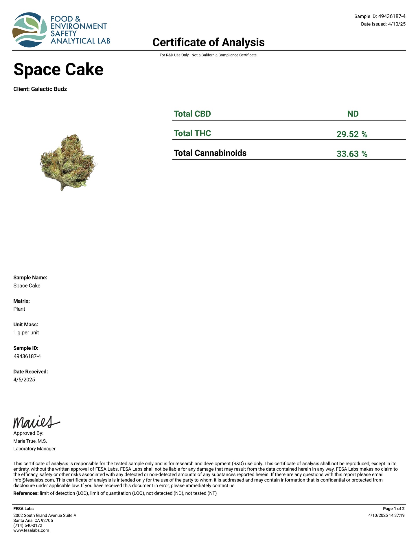 SPACE CAKE