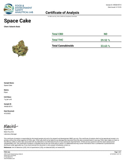 SPACE CAKE