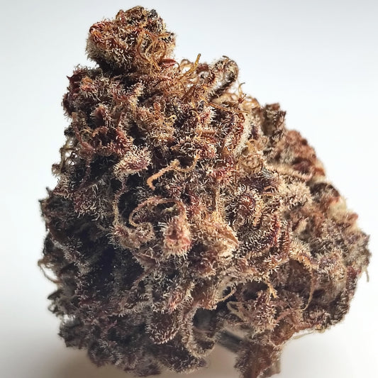 FLOWER-PINK PARMESAN