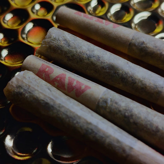 PREROLL- DIESEL GLUE